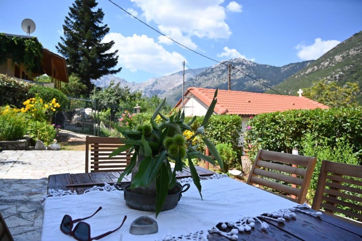 Kalavrita Winter Retreat - Homely Spacious Chalet Άνω Βλασία Екстер'єр фото
