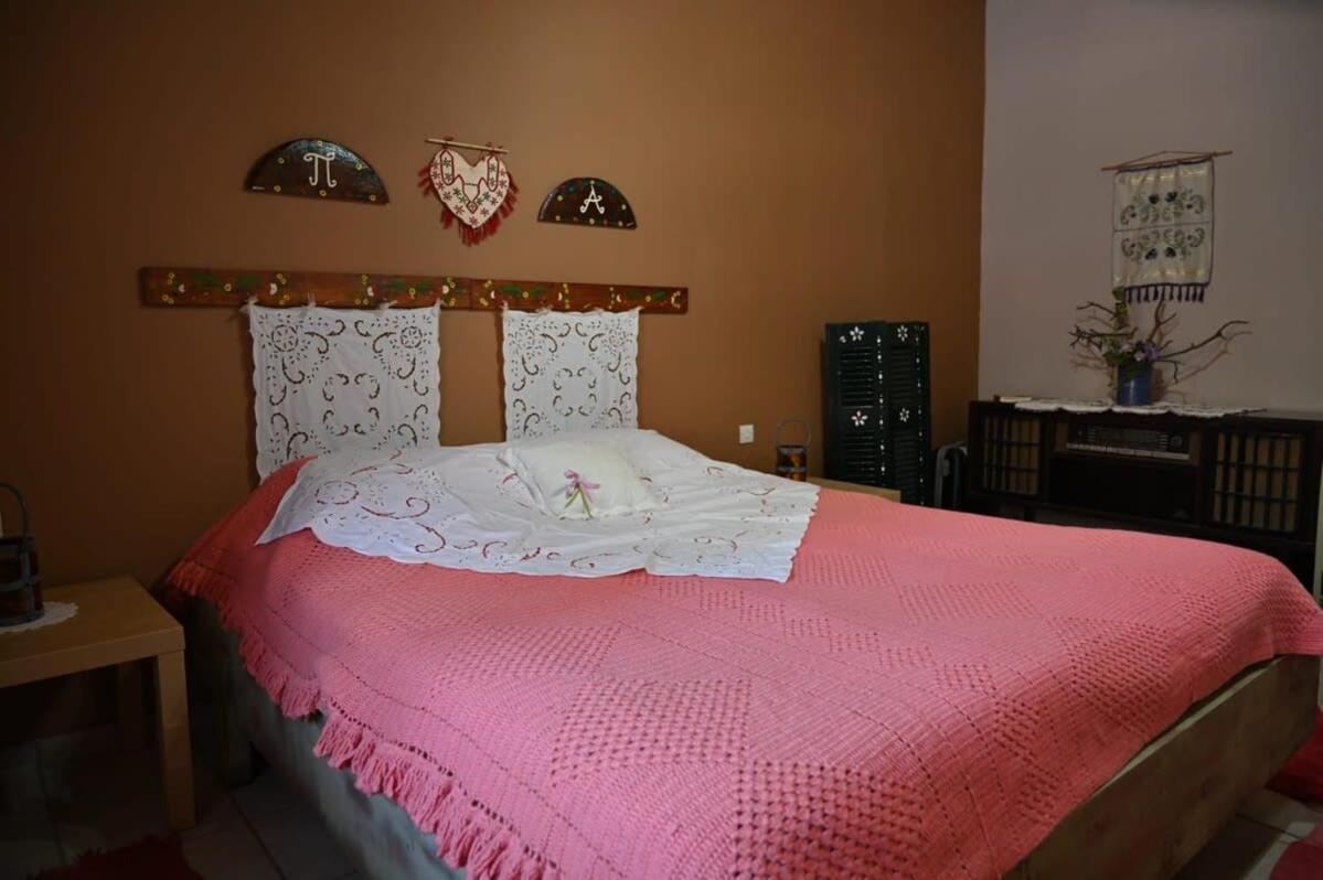 Kalavrita Winter Retreat - Homely Spacious Chalet Άνω Βλασία Екстер'єр фото