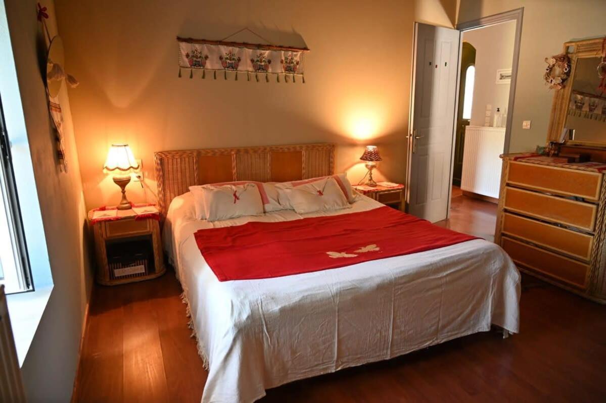 Kalavrita Winter Retreat - Homely Spacious Chalet Άνω Βλασία Екстер'єр фото