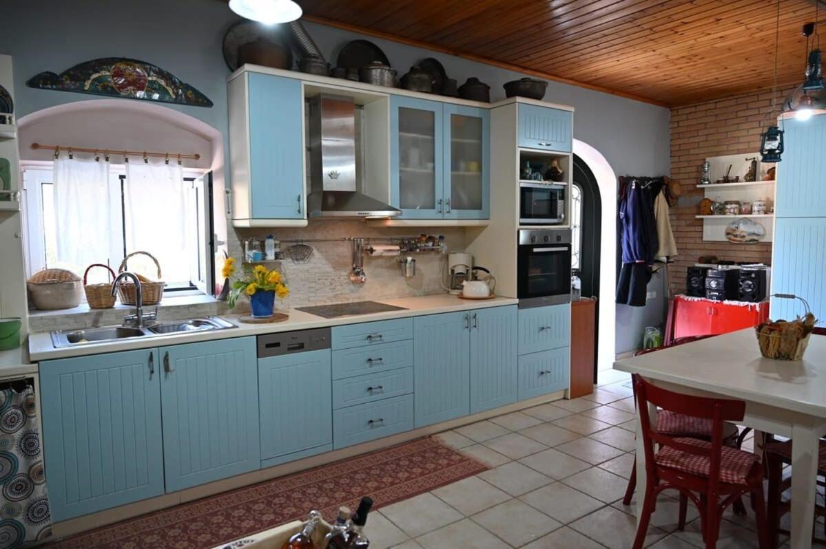 Kalavrita Winter Retreat - Homely Spacious Chalet Άνω Βλασία Екстер'єр фото